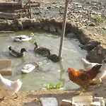 Séjour à la ferme Le Vergare *