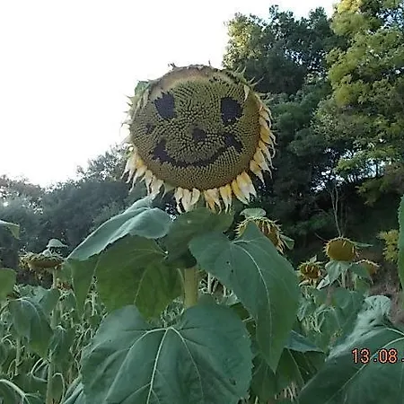 Vakantieboerderij Le Vergare