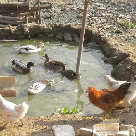 Séjour à la ferme Le Vergare *