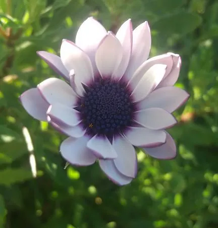 Alloggio per agriturismo Le Vergare *